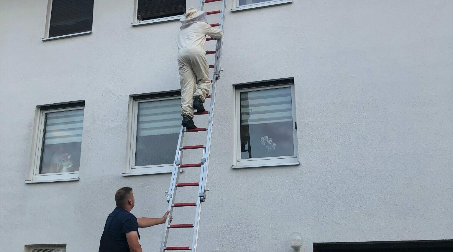 29.06.2022 – 20.31 Uhr -THL Tier/Insekten (Gefahr für Personen)