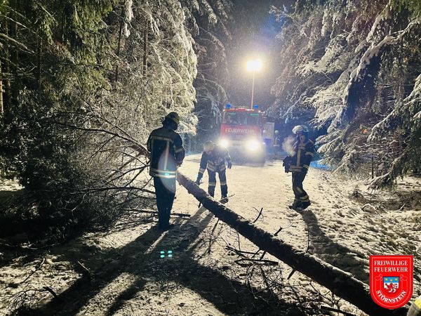 01.12.2023 – 18.35 Uhr – THL 1 / Baum auf Straße / Gemeindeverbindung Störnstein-Püchersreuth